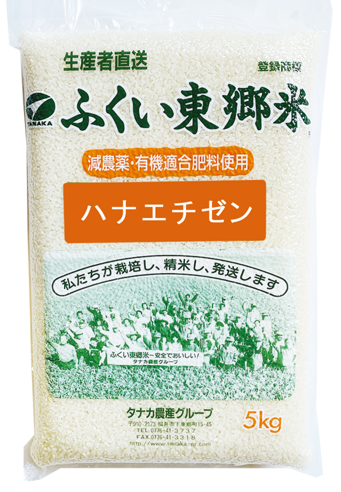 ハナエチゼン