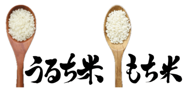 うるち米ともち米との違いを徹底解説！炊き方・用途・栄養まで丸わかり 