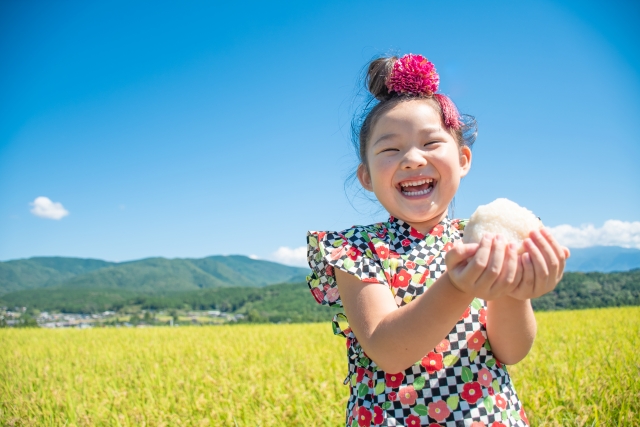 田んぼとおにぎりと子ども